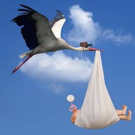 Illustration of a stork in flight against a blue sky with clouds, carrying a baby wrapped in a white cloth bundle. The stork is depicted in black and white with a red beak and legs, while the baby is shown wearing a pink bonnet and holding a rattle.