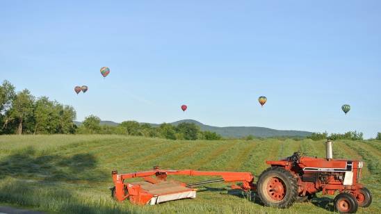 Image of an old model red tractor in a green, hilly field, with six colorful hot air balloons in the clear blue sky in the background.
