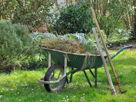 cambridge ny dpw. wheelbarrow full with garden weeds and tools in a garden