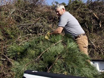 yard worker unloading branches onto a huge brush pile