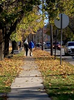 Village of Cambridge, NY Main Street sidewalk with two people walking, surrounded by yellow leaves.