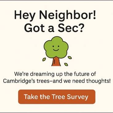 Take the tree survey graphic announcement