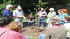 An outdoor workshop with residents learning tree care techniques, emphasizing the committee’s educational and community-building efforts.
